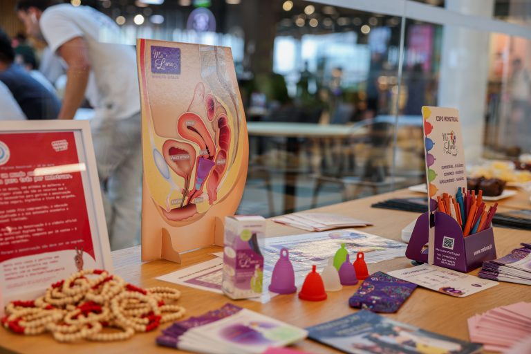 Dia Internacional da Dignidade Menstrual_CT (7)